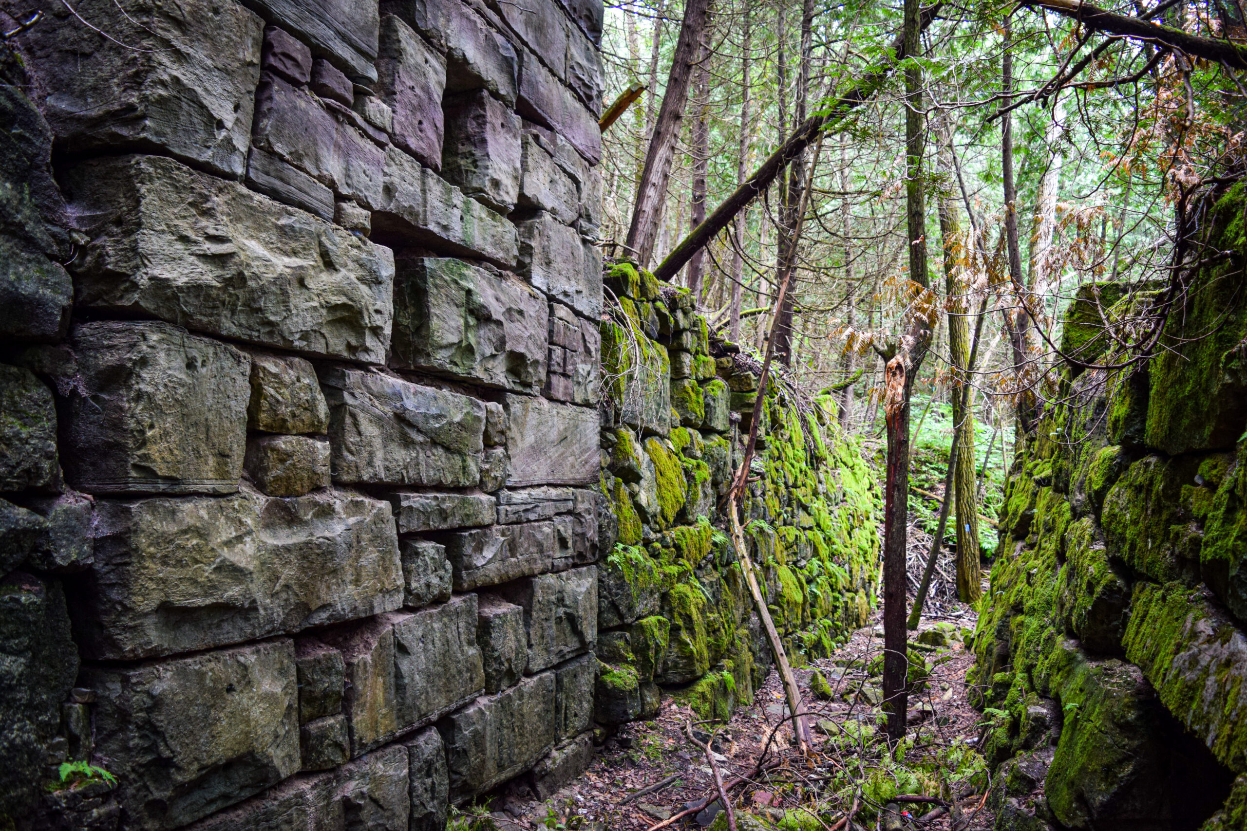Caledon Hiking Trails at the old lime kilns