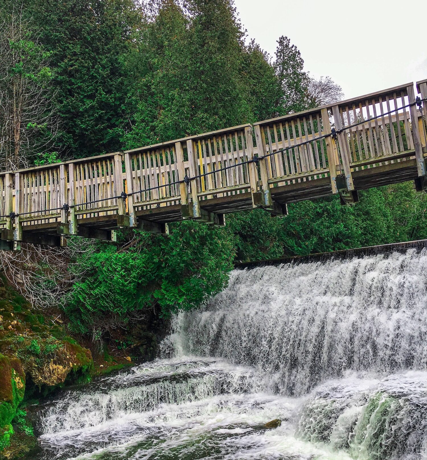 4 Waterfalls to Explore in Caledon