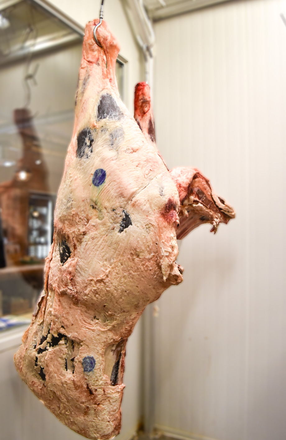 Side of beef, dry aging at a butcher shop in Caledon, Ontario