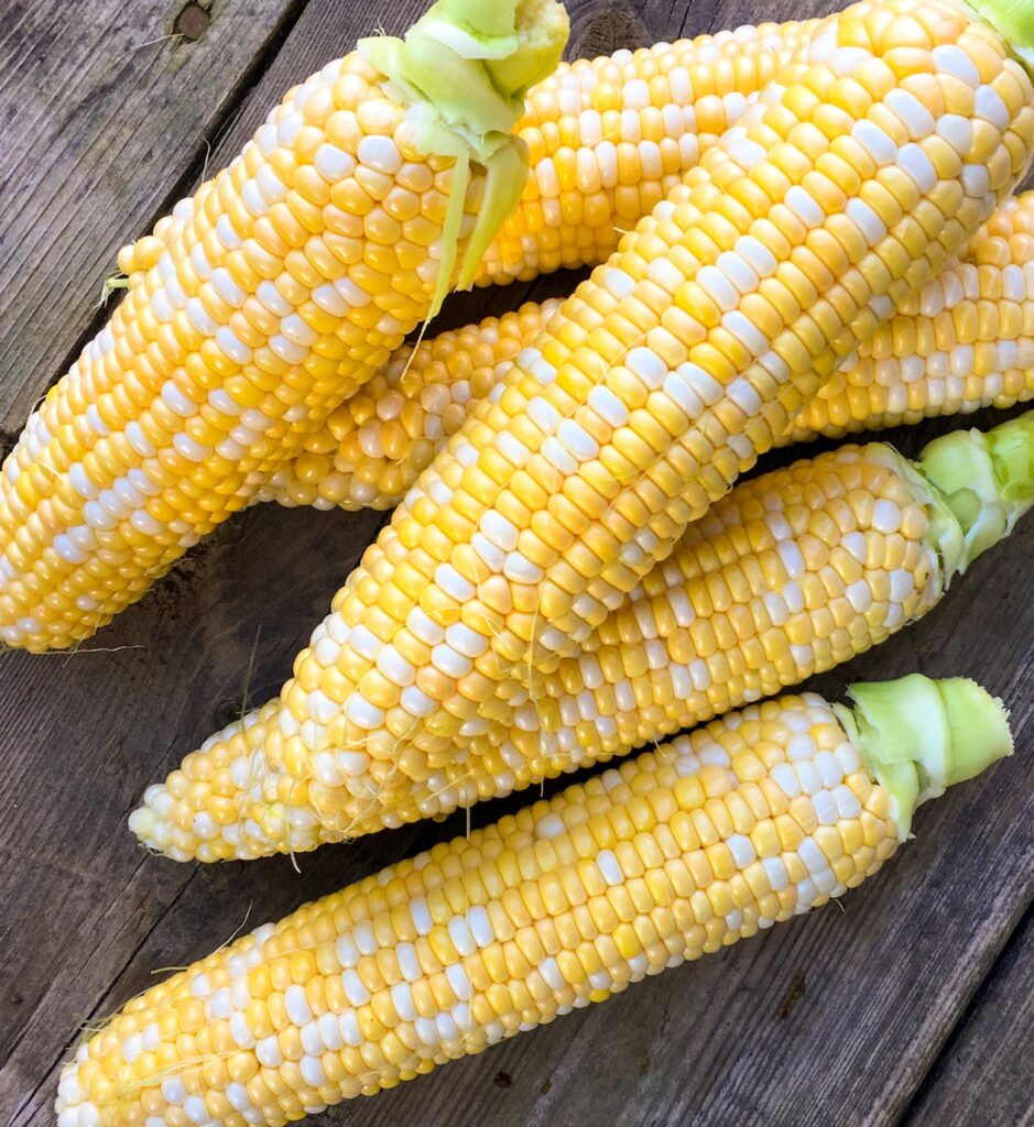 Ontario sweet corn