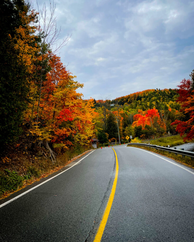 5 Travel Bloggers Share their favourite fall destinations in Ontario